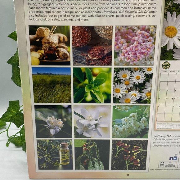 Llewellyn's 2022 Essential Oils Calendar - Picture 2 of 5
